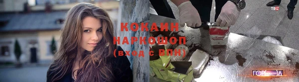 амф Елизово