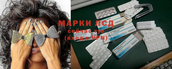 mdpv Ельня