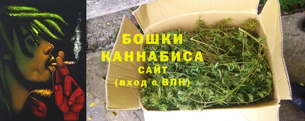 mdpv Ельня