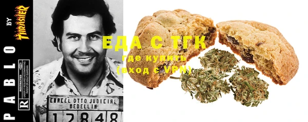mdpv Ельня