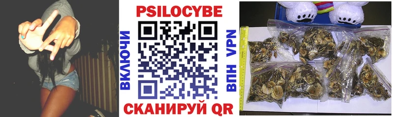 купить наркотики сайты  Ивантеевка  omg сайт  Галлюциногенные грибы мухоморы 